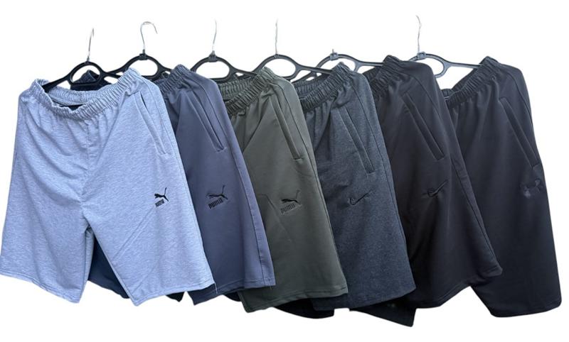 Шорты Essa (46-54) E960 grey (46-54) (лето)