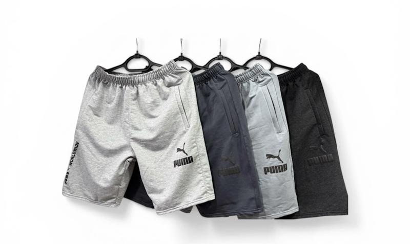 Шорты Essa (50-58) E913 grey (50-58) (лето)