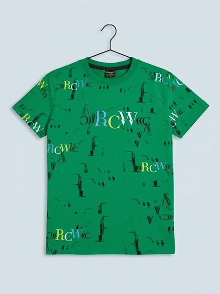 Футболка Dino (9-12) DN375 green (лето)