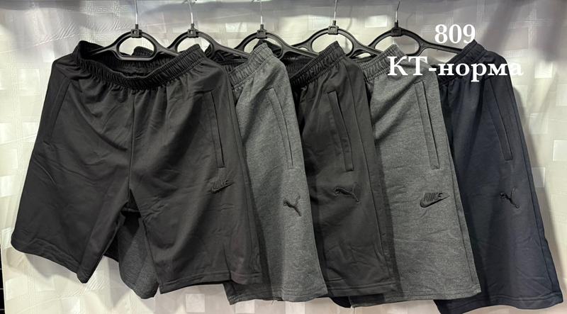 Шорты Shon (46-54) S2788 grey (лето)