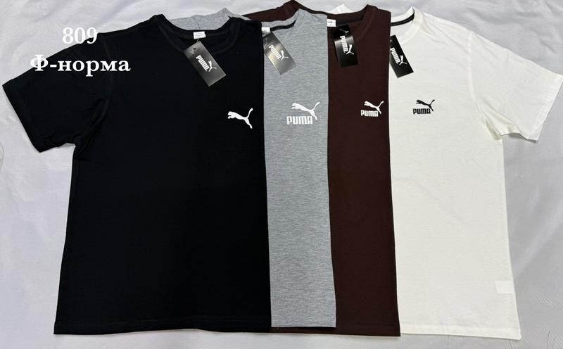 Футболка Shon (S-2XL) S2898 white (лето)