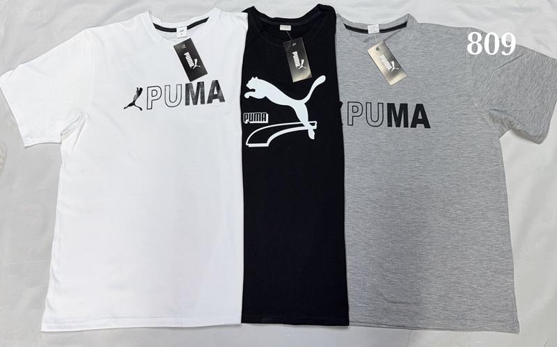 Футболка Shon (S-2XL) S2919 grey (лето)