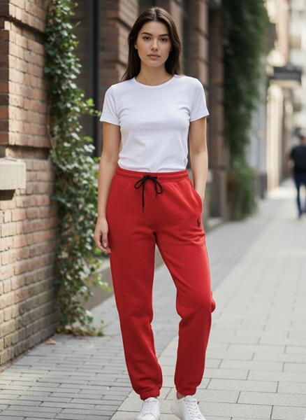 Штаны спорт Delviago (S-L) DL738 red (деми)