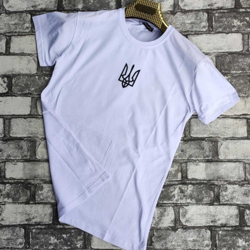 Футболка Sport style (S-2XL) 11 white-old-1 (лето) Sport style 11 white-old-1