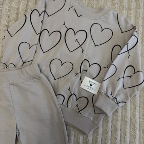 Костюм спорт Baby Boom (2-5) 1009 grey (деми) Baby Boom 1009 grey