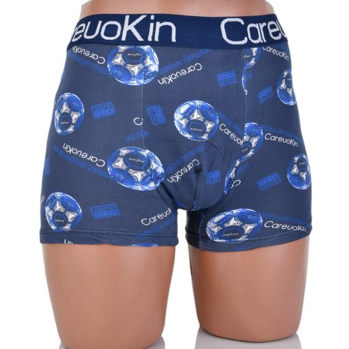 Трусы Textile (XL-3XL) A4950 mix (деми) Textile A4950 mix