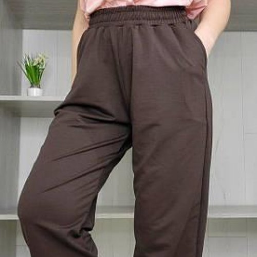 Штаны спорт Sport style (S-XL) 1023 brown-old-3 (деми) Sport style 1023 brown-old-3