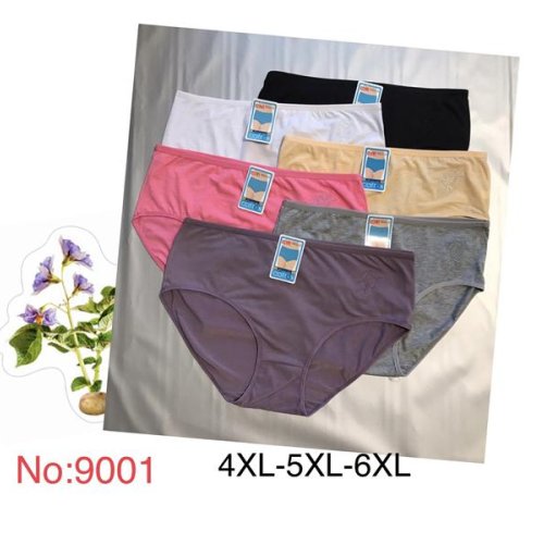 Трусы Redoor (4XL-6XL) Y9001 mix (4XL-6XL) (деми) Redoor Y9001 mix (4XL-6XL)