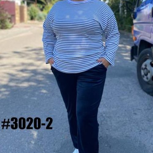 Штаны спорт BAT (54-60) 3020-2 navy (деми) BAT 3020-2 navy