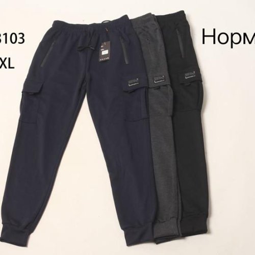 Штаны спорт Hoan (M-3XL) WK8103 grey (деми) Hoan WK8103 grey