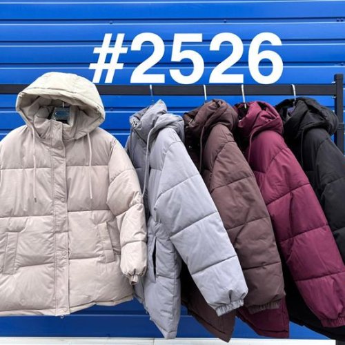 Куртка Modnulya (M-2XL) 2526 wine (деми) Modnulya 2526 wine