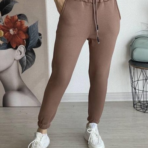 Штаны спорт FSN (46-52) 2490 brown (зима) FSN 2490 brown