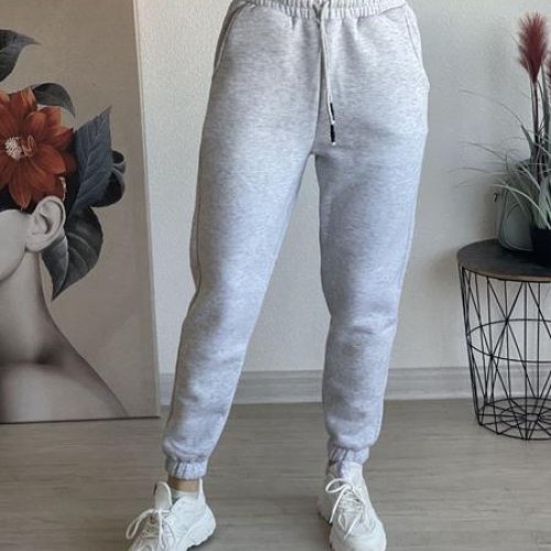 Штаны спорт FSN (46-52) 2490 l.grey (зима) FSN 2490 l.grey