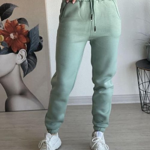 Штаны спорт FSN (46-52) 2490 mint (зима) FSN 2490 mint