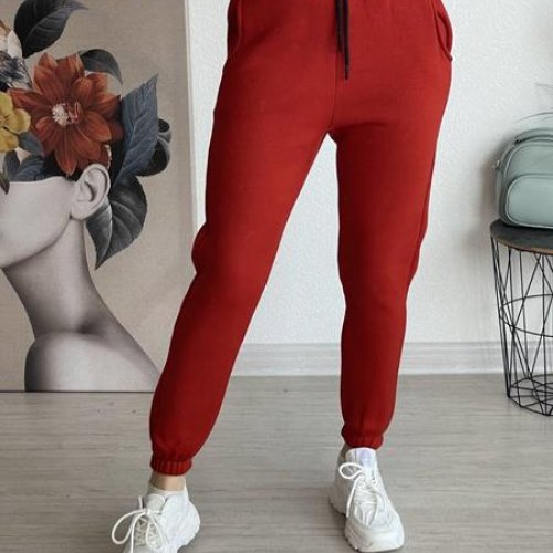 Штаны спорт FSN (46-52) 2490 red (зима) FSN 2490 red