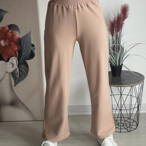 Штаны спорт FSN (42-48) 3431 beige (деми) FSN 3431 beige