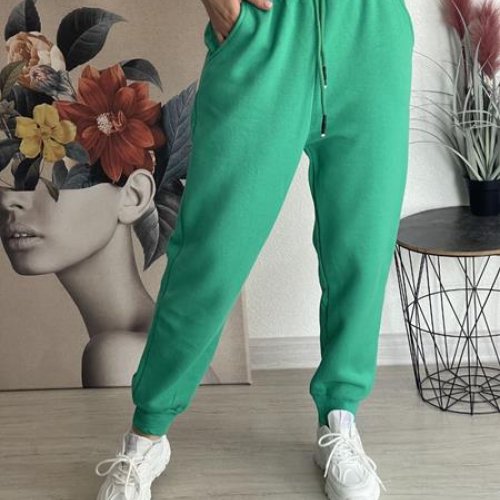 Штаны спорт FSN (46-52) 7434 green (зима) FSN 7434 green