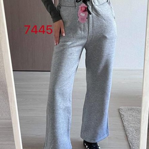 Штаны спорт FSN (42-48) 7445 grey (зима) FSN 7445 grey