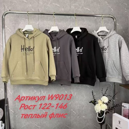 Худи Delfinka (122-146) W9013 mint (зима) Delfinka W9013 mint