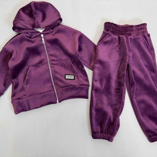 Костюм спорт Bright Harmony (92-122) 1604 purple (деми) Bright Harmony 1604 purple