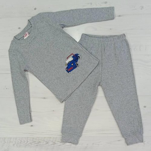 Костюм Malibu2 (2-6) 10100 grey (деми) Malibu2 10100 grey