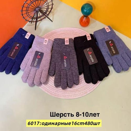Перчатки Anjela (8-10) 6017 mix (зима) Anjela 6017 mix