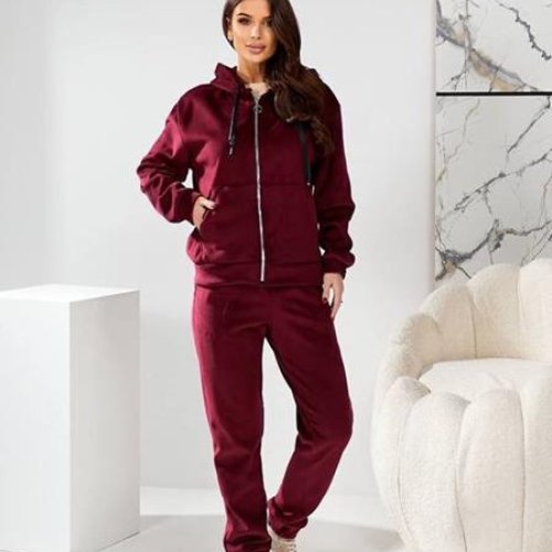 Костюм спорт BAT (44-50) 101-3 wine (зима) BAT 101-3 wine