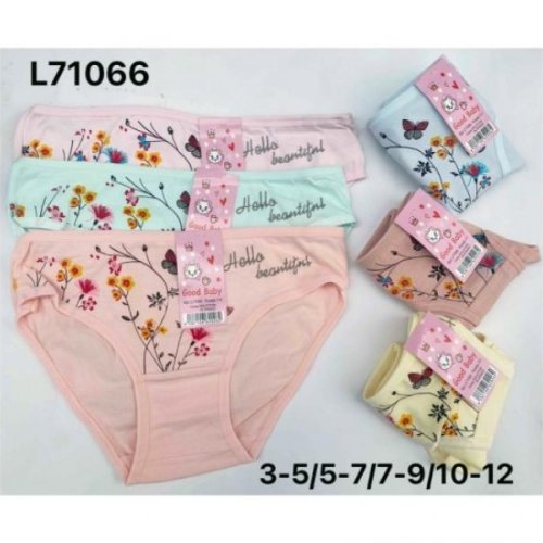 Трусы Redoor (5-12) L71066 mix  (лето) Redoor L71066 mix 