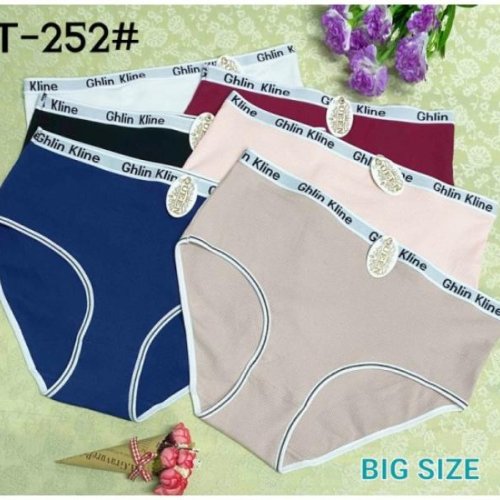 Трусы Redoor (6XL-7XL) T252 mix (лето) Redoor T252 mix