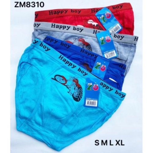 Трусы Redoor (S-XL) ZM8310 mix (лето) Redoor ZM8310 mix