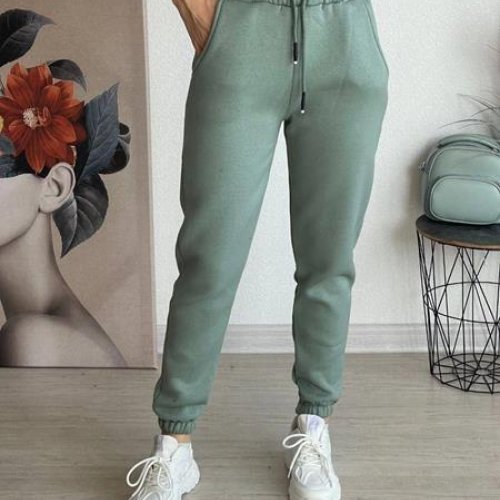 Штаны спорт FSN (42-48) 7446 mint (зима) FSN 7446 mint