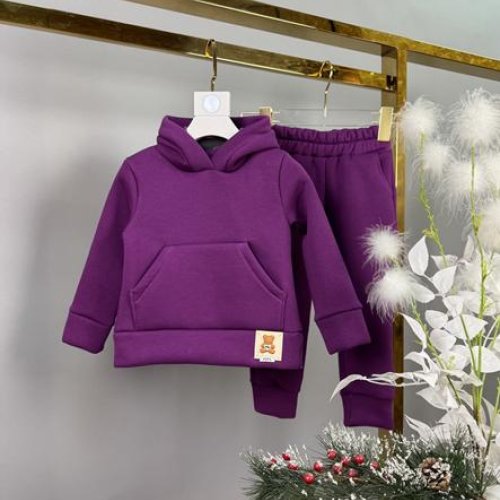 Костюм спорт Delfinka (92-116) 081-1 purple (зима) Delfinka 081-1 purple