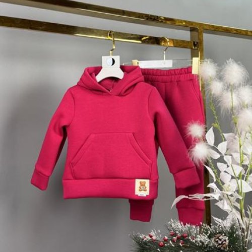 Костюм спорт Delfinka (92-116) 081-1 red (зима) Delfinka 081-1 red