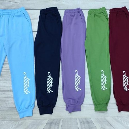 Штаны спорт Imlion (48-56) 44048 navy (деми) Imlion 44048 navy