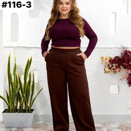 Штаны спорт BAT (42-46) 116-4 brown (зима) BAT 116-4 brown