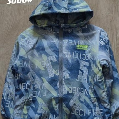 Куртка Flong (4-8) 3006 blue (деми) Flong 3006 blue