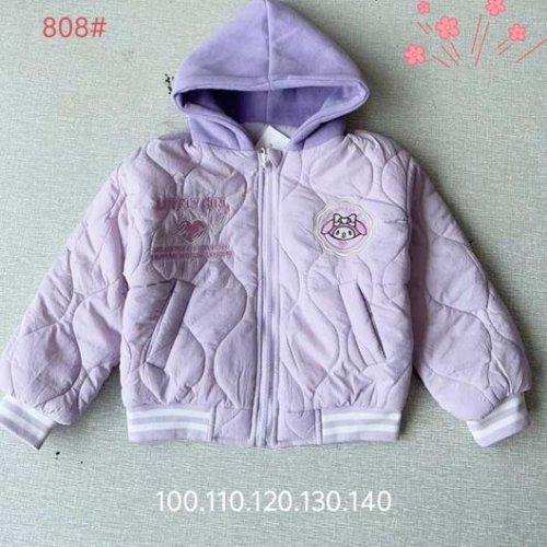 Куртка Flong (100-140) 808 purple (деми) Flong 808 purple