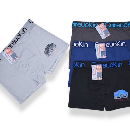 Трусы Jelzin (XL-3XL) DF3435 mix (деми) Jelzin DF3435 mix