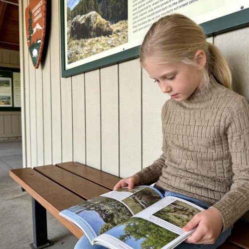 Гольф Yalisi (110-150) 519 l.brown (зима) Yalisi 519 l.brown