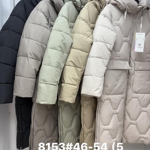 Куртка Jacket (46-54) 8153 grey (зима) Jacket 8153 grey