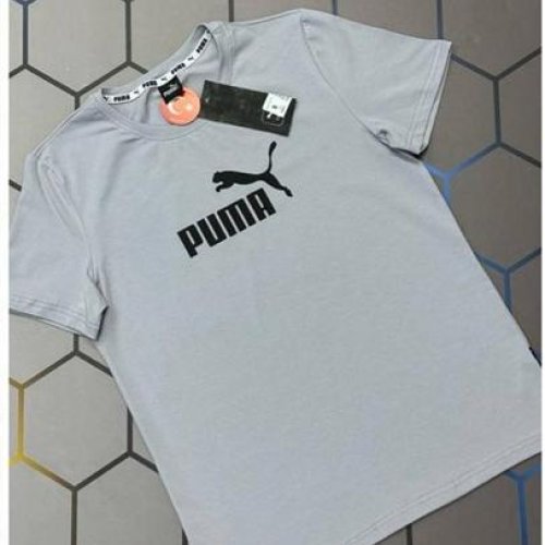 Футболка Alex Clothes (S-2XL) 13082 grey (лето) Alex Clothes 13082 grey