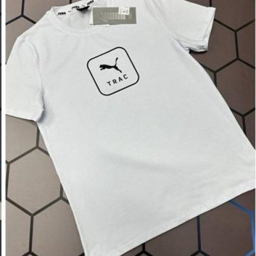 Футболка Alex Clothes (S-2XL) 13091 white (лето) Alex Clothes 13091 white