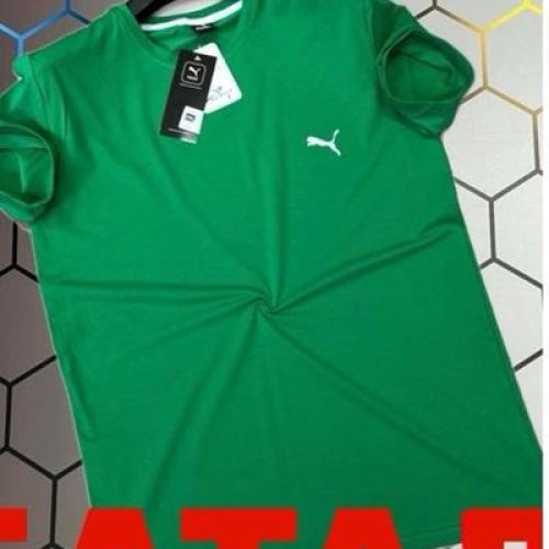 Футболка Alex Clothes (2XL-6XL) 13120 green (лето) Alex Clothes 13120 green