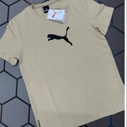 Футболка Alex Clothes (S-2XL) 13126 beige (лето) Alex Clothes 13126 beige