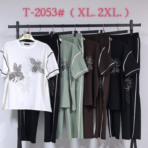 Костюм спорт Estima (XL-2XL) T2053 mix (деми) Estima T2053 mix