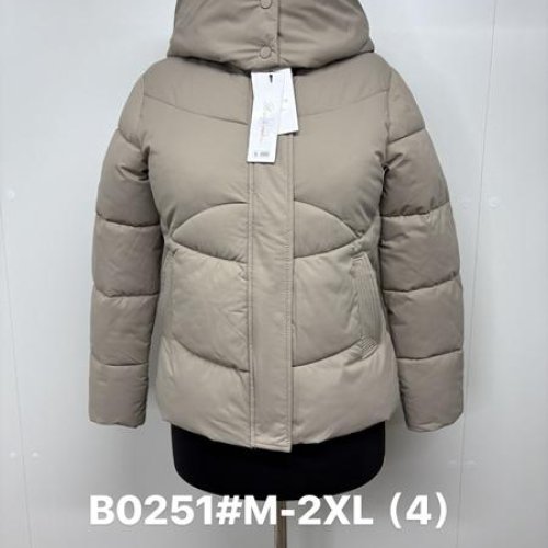 Куртка Jacket (M-2XL) B0251 beige (деми) Jacket B0251 beige