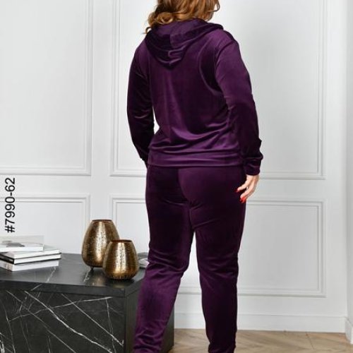 Костюм спорт OdesaOpt (54-60) 7990-62 purple (деми) OdesaOpt 7990-62 purple