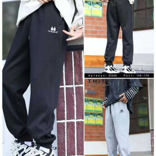 Штаны спорт Delfinka (146-170) 02606 grey (деми) Delfinka 02606 grey