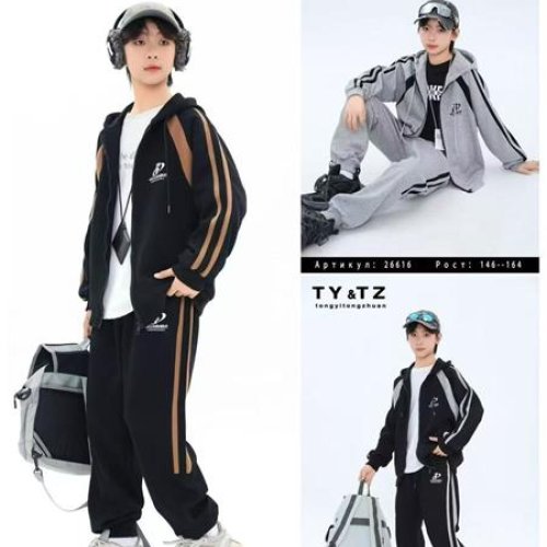 Костюм спорт Delfinka (146-164) 26616 grey (деми) Delfinka 26616 grey