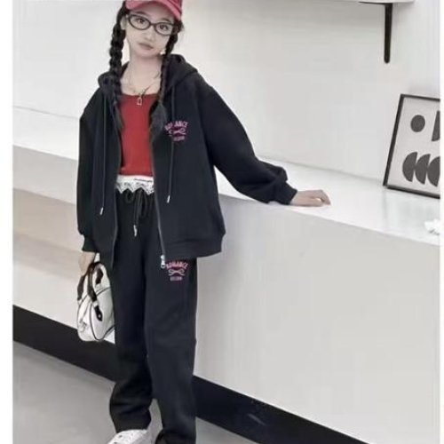 Костюм спорт Delfinka (122-140) 88997 black (деми) Delfinka 88997 black